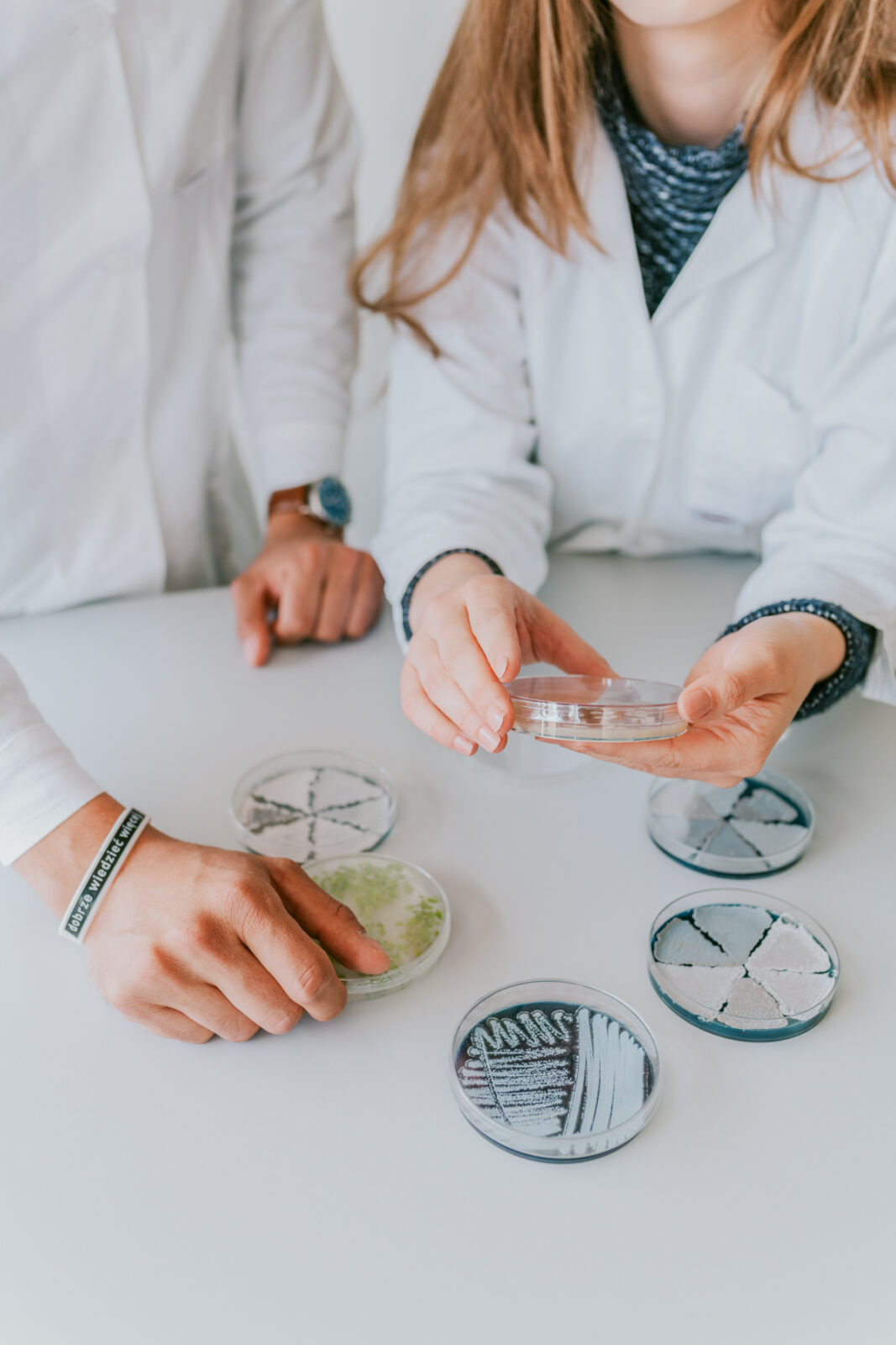 Osoby prowadzące badania